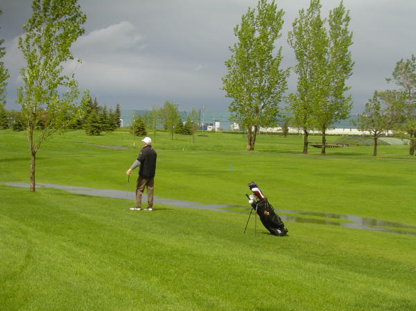 DSC06979