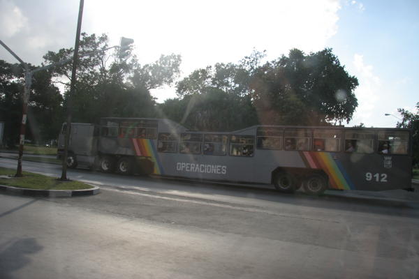The camel bus (at least 300 people squeeze on to that bus/truck)