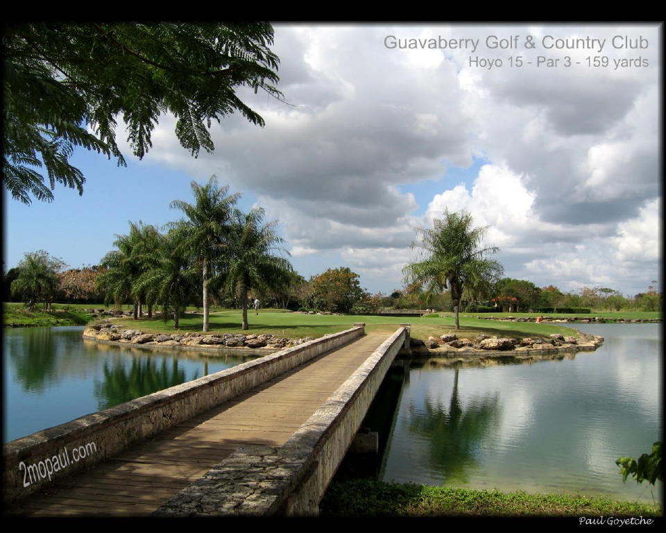 WPGolfGuavaberry1