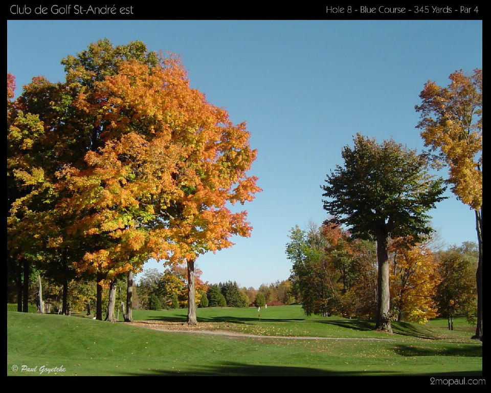 WP-GolfSTA1