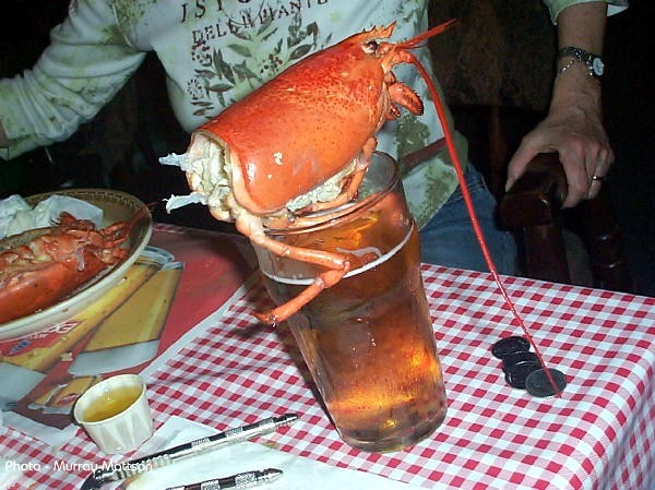 Lobster bath - paid for in full